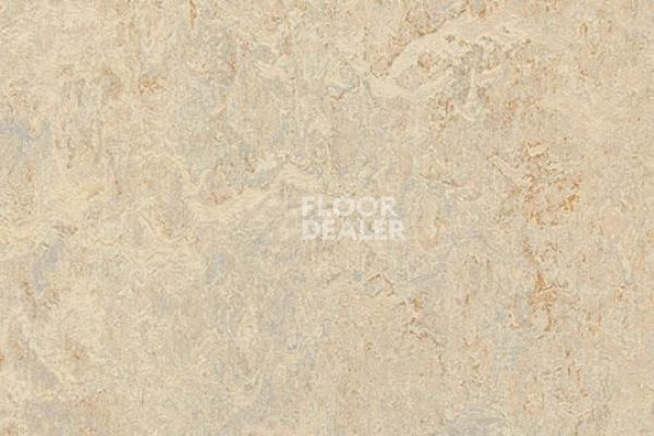 Линолеум Marmoleum Decibel on Order 312035 rosato фото 1 | FLOORDEALER